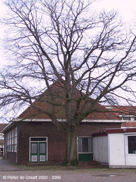 012-136-3683_IMG